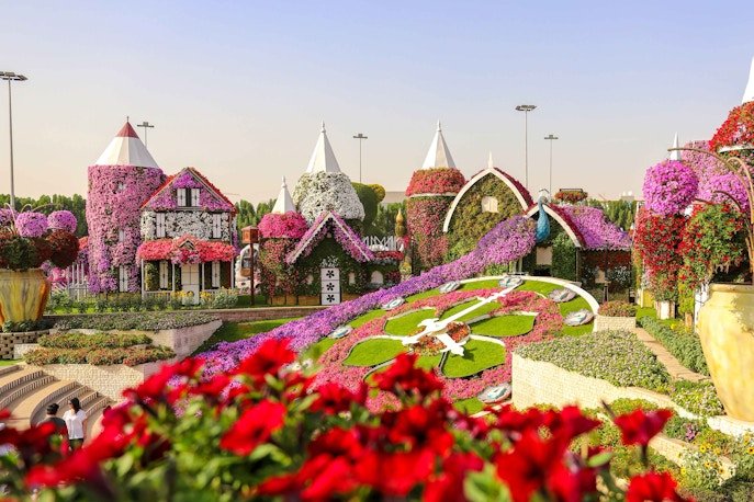 Miracle garden Facts