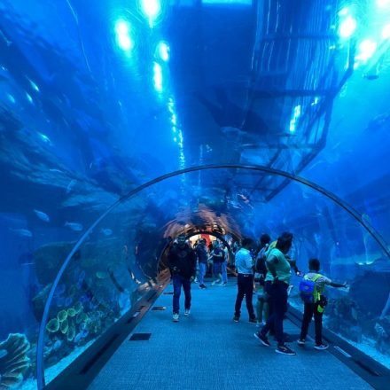 Dubai aquarium in Dubai mall